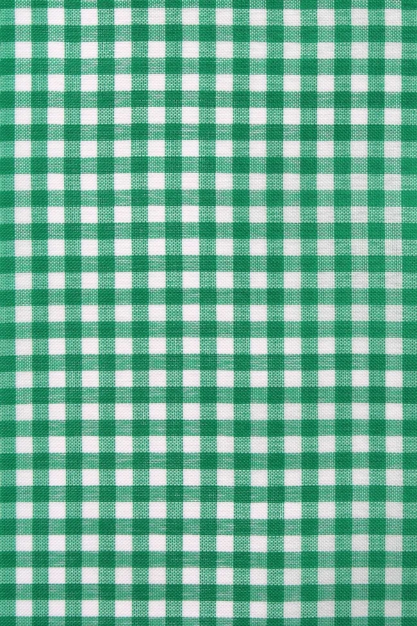 Tecido Xadrez Verde 10 X 10