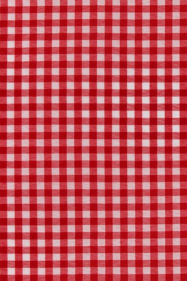 Tecido Xadrez Vermelho 10 X 10