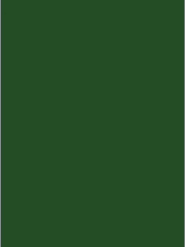 Tecido Tergal Liso Cor Verde Bandeira